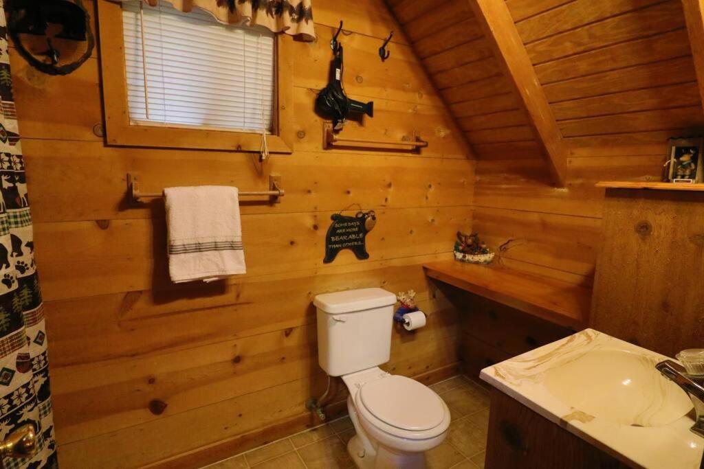 Cute Updated Mountain Cabin Fireplace #3 Helen Exteriör bild