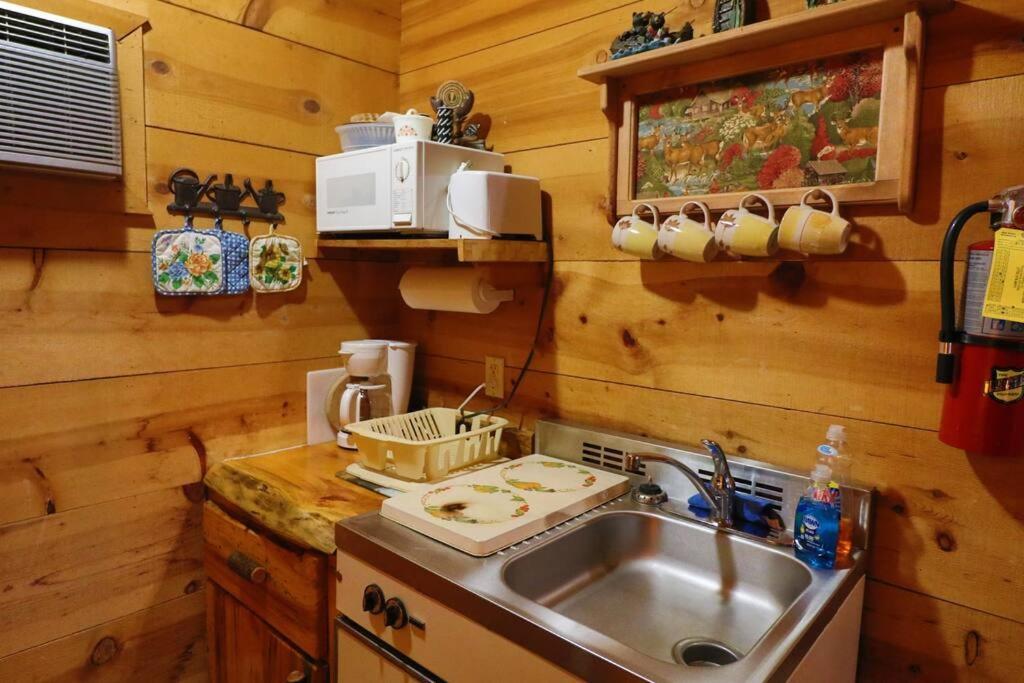 Cute Updated Mountain Cabin Fireplace #3 Helen Exteriör bild