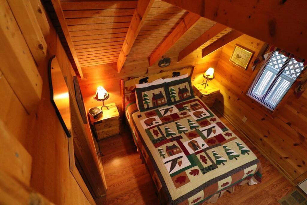 Cute Updated Mountain Cabin Fireplace #3 Helen Exteriör bild